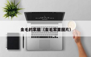 金毛的家居（金毛家里图片）