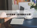 毛巾家居裤（毛巾裤配什么鞋）